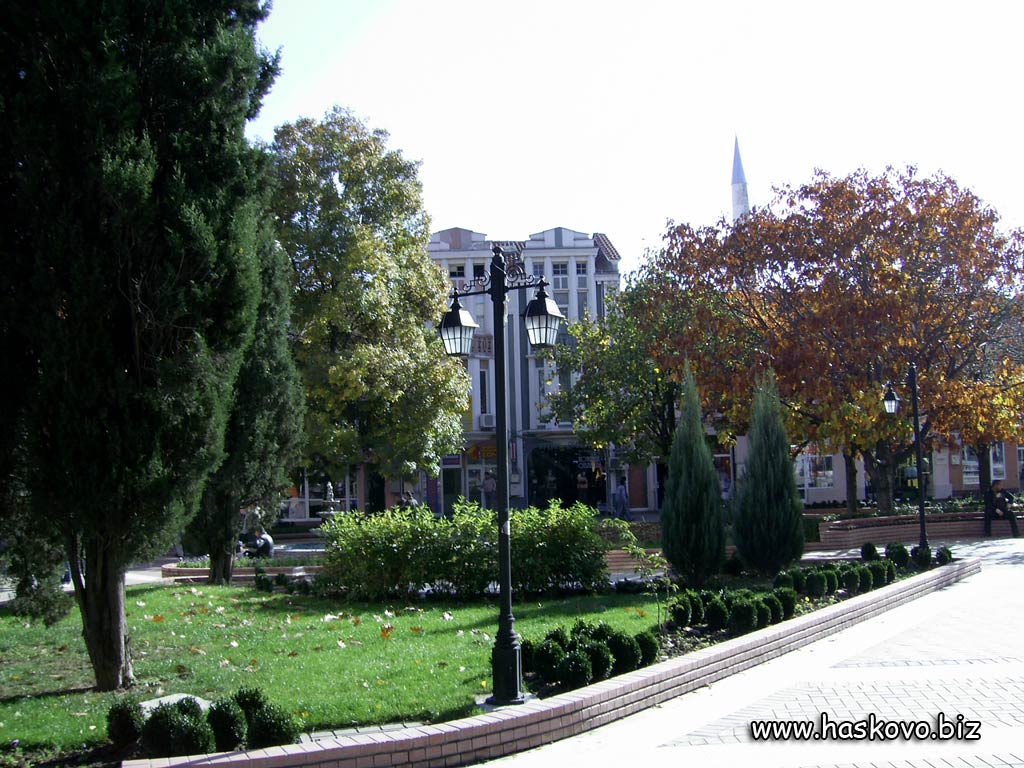 Централна улица